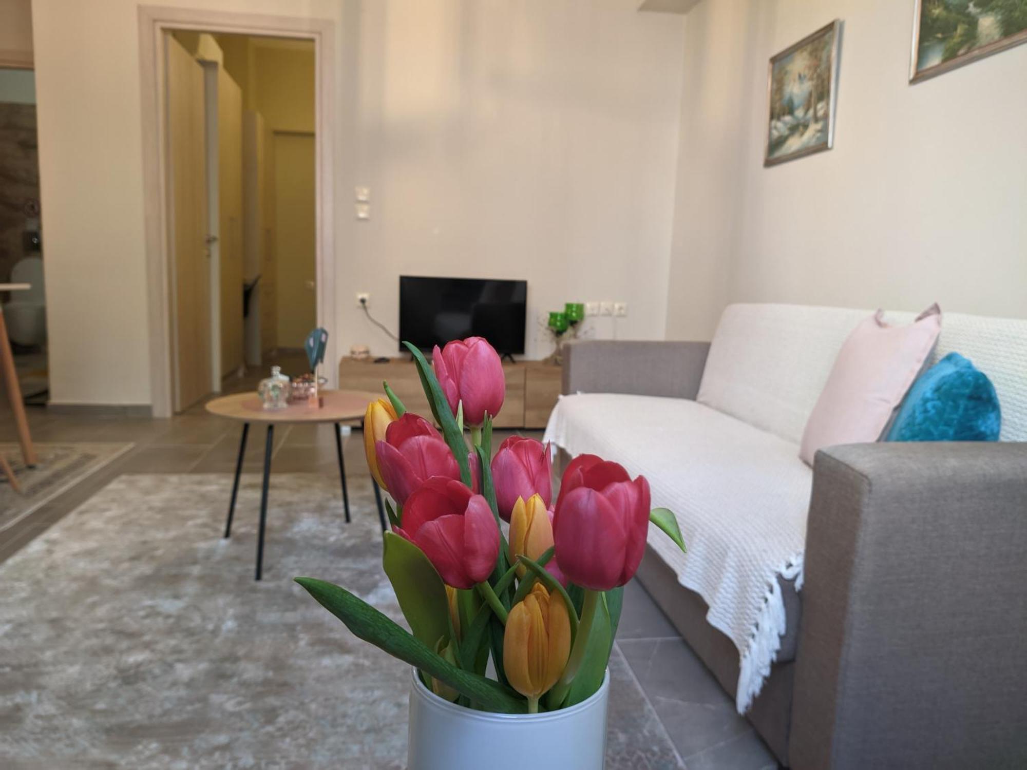 Aristo Central Apartments Ιωάννινα Εξωτερικό φωτογραφία